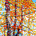 Panoply